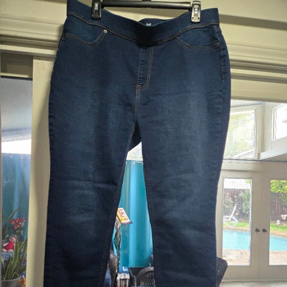 Women's Terra & Sky Stretchy Jeggings (Skinny) Size 0X (14W) (Set of 4!)